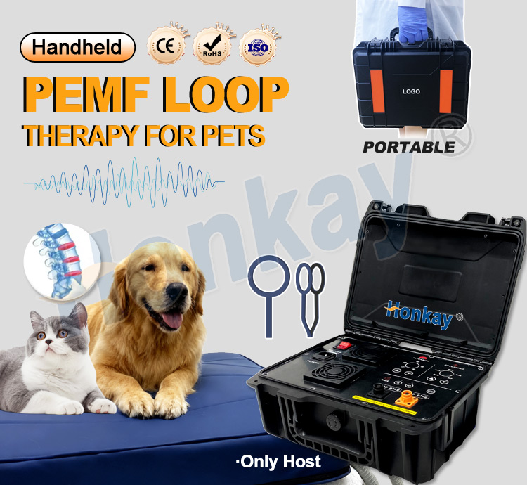 Personal Pet Care PEMF Device  - Health Wellness And ulasan dan harga