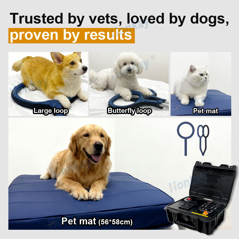 Personal Pet Care PEMF Device  - Health Wellness And ulasan dan harga