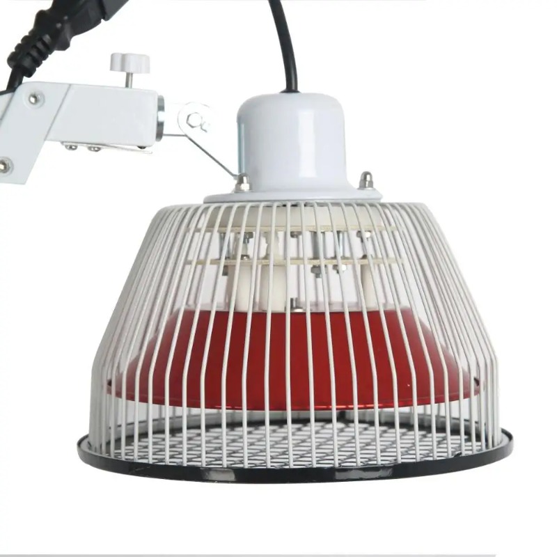 Traditional Chinese TDP Lamps  - Health Wellness And ulasan dan harga