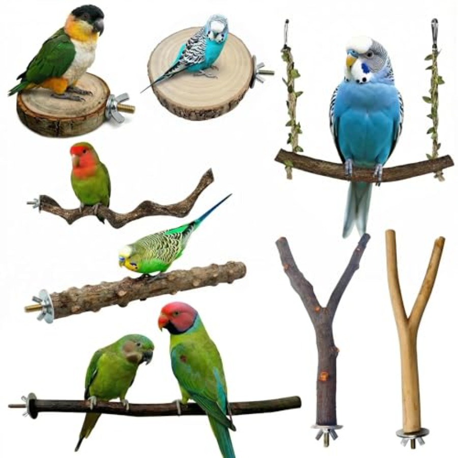 8PCS natural wood bird perches - Health & Wellness Waiver Indiana ulasan dan harga